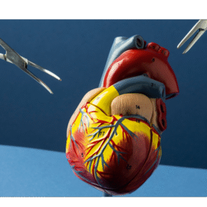 Imersão em Anatomia Cardíaca: Da Teoria à Dissecção Guiada