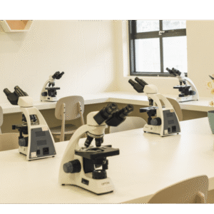 Curso Avançado De Histofisiologia Aplicada À Saúde E Estética