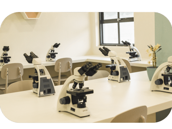 Curso Avançado De Histofisiologia Aplicada À Saúde E Estética
