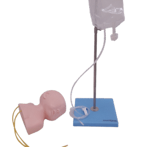 Cabeça Pediátrica para Treino de Punção Venosa