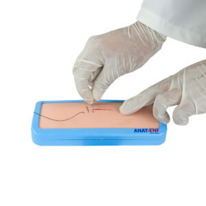 Pele para Treinamento de Sutura, com Cinta para Fixação